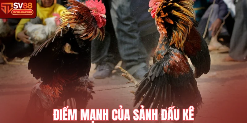 Điểm mạnh của sảnh đấu kê