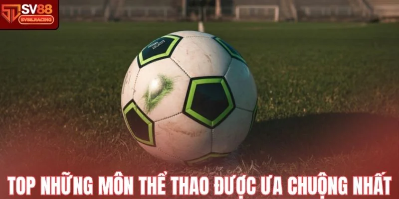 Top những môn thể thao được ưa chuộng nhất tại Sv88